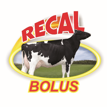 recal bolus