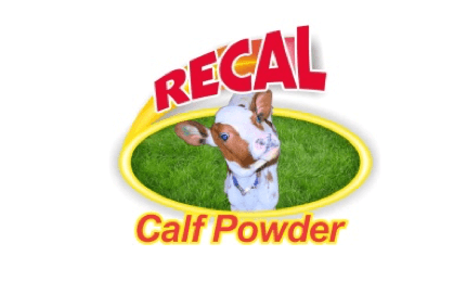 recal calf powder