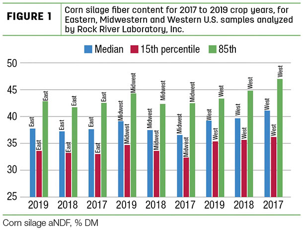Corn silage fiber content for 2017 to 2019 crop years