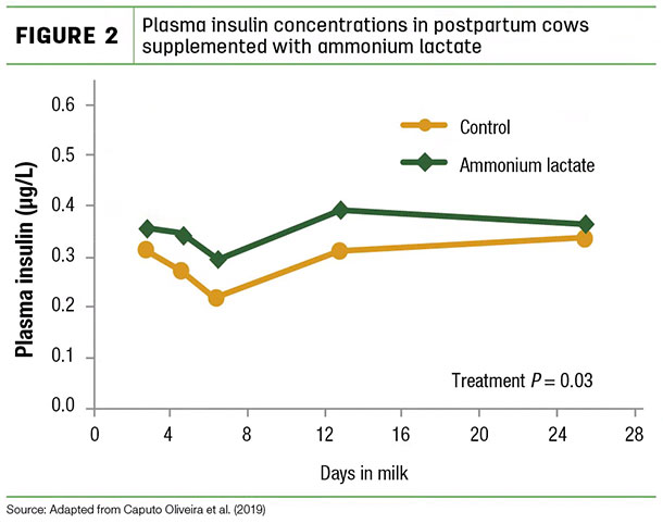 Plasma insulin concentrations in postpartum cows