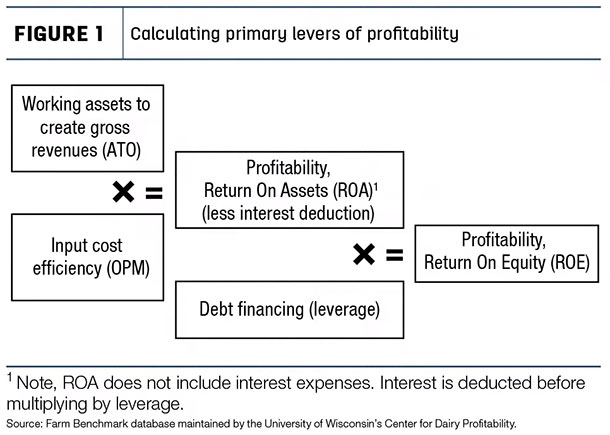 Calculating primary levers of profitability