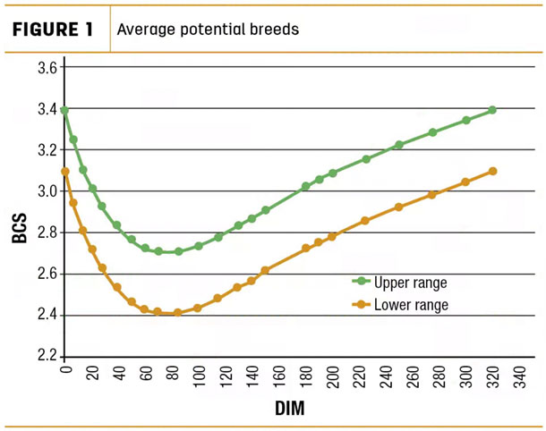 Average potential breeds