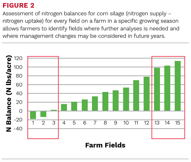 Assessment of nitrogen balances for corn silage
