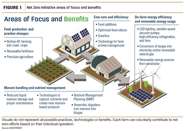 Net Zero initiative area of focus and benefits