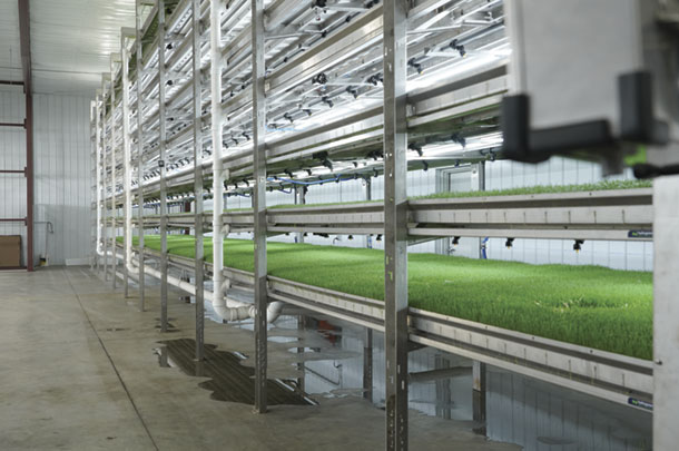 HydroGreen's vertical farming, fodder sprouting system
