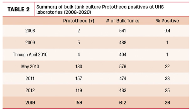 Summary of bulk tank culture Prototheca positives 