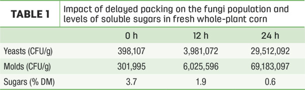 Impact of delayed packing on the fungi population and levels for soluble sugars