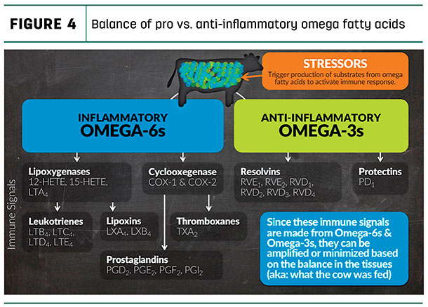 Balance of pro vs. anti-inflammatory omega fatty acids