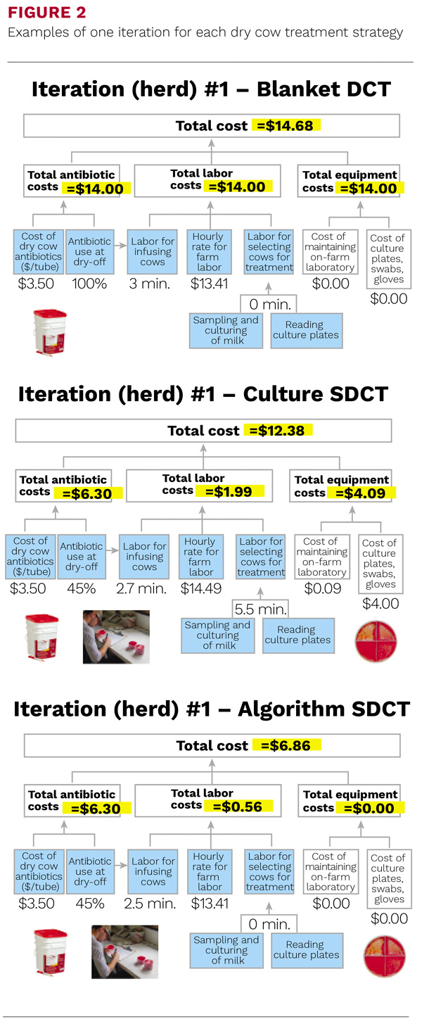 Examples of one iteration for each dry cow treatment strategy