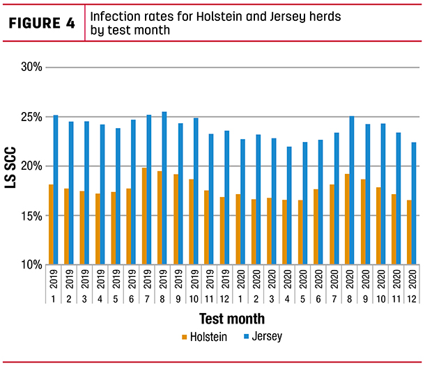 Infection rates for Holstein and Jersey herds by test month