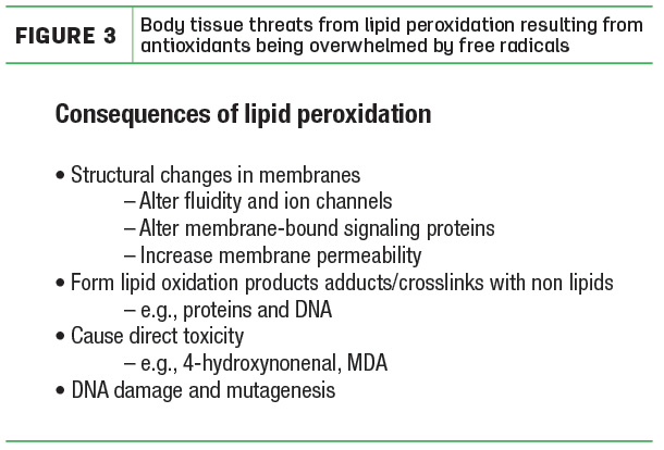 Body tissue threats from lipid peroxidation