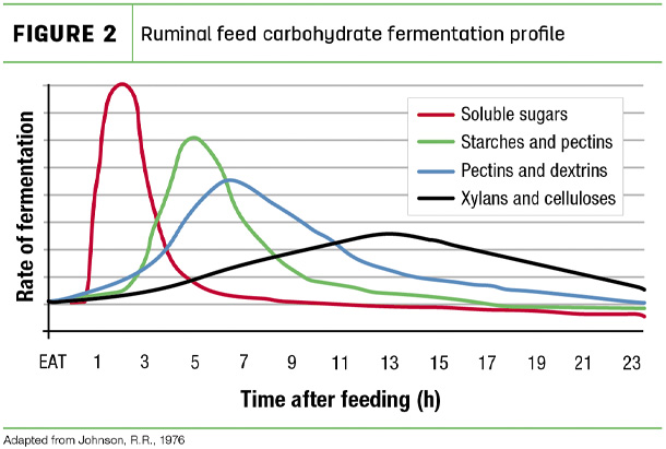 Ruminal feed carbohydrate fermentation profile